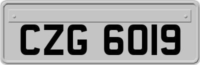 CZG6019