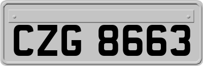 CZG8663