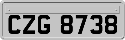 CZG8738