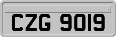 CZG9019