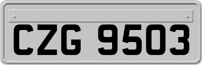 CZG9503