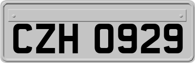 CZH0929