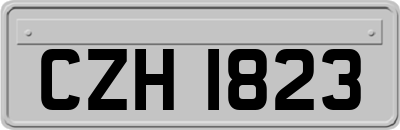 CZH1823