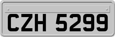 CZH5299