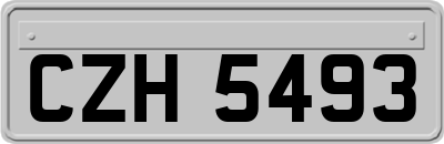 CZH5493