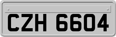 CZH6604
