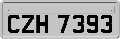 CZH7393
