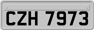 CZH7973