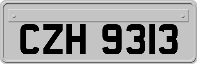 CZH9313