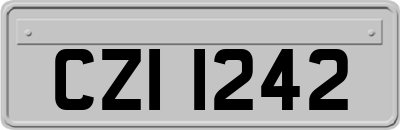 CZI1242