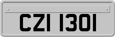 CZI1301