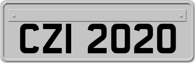 CZI2020