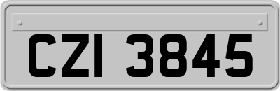 CZI3845