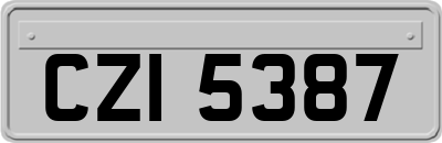 CZI5387