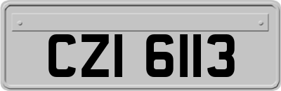 CZI6113