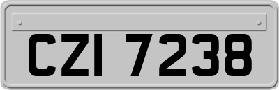 CZI7238