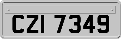 CZI7349