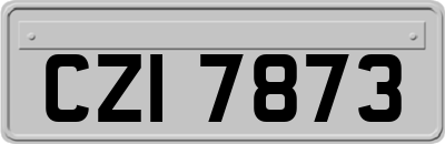 CZI7873