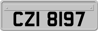 CZI8197