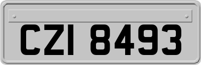 CZI8493