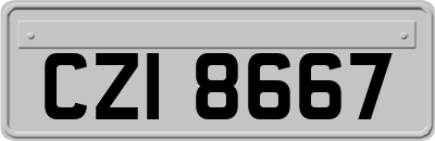CZI8667