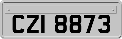 CZI8873