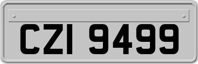 CZI9499