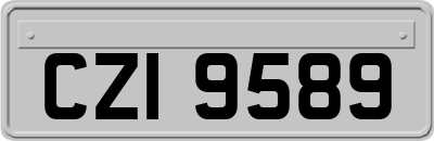 CZI9589