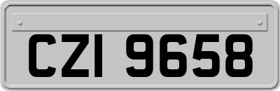 CZI9658