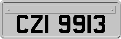 CZI9913