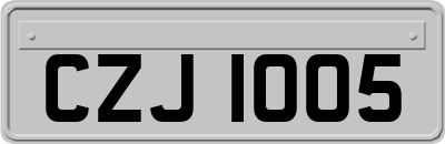 CZJ1005