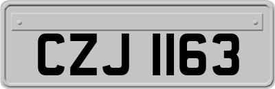 CZJ1163