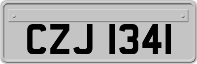 CZJ1341