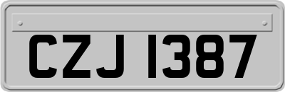 CZJ1387