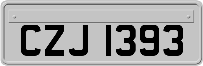CZJ1393