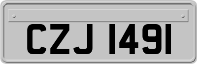 CZJ1491