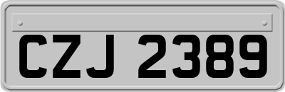 CZJ2389