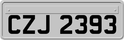 CZJ2393