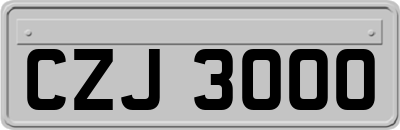 CZJ3000