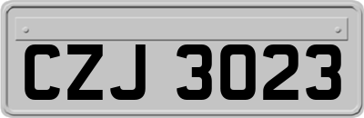 CZJ3023