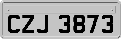 CZJ3873