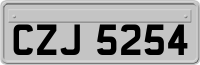 CZJ5254