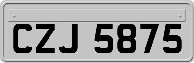 CZJ5875