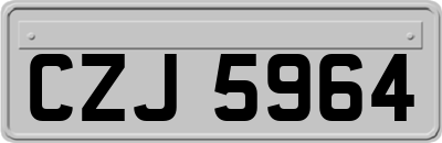 CZJ5964