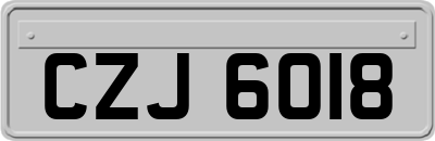 CZJ6018