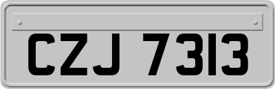 CZJ7313