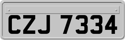 CZJ7334