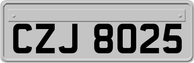 CZJ8025