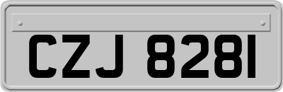 CZJ8281