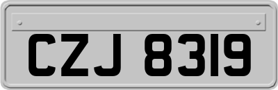 CZJ8319
